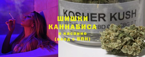 твердый Бронницы