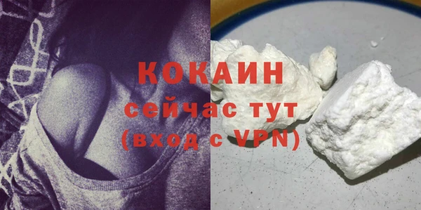 твердый Бронницы