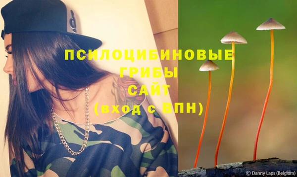 героин Бородино